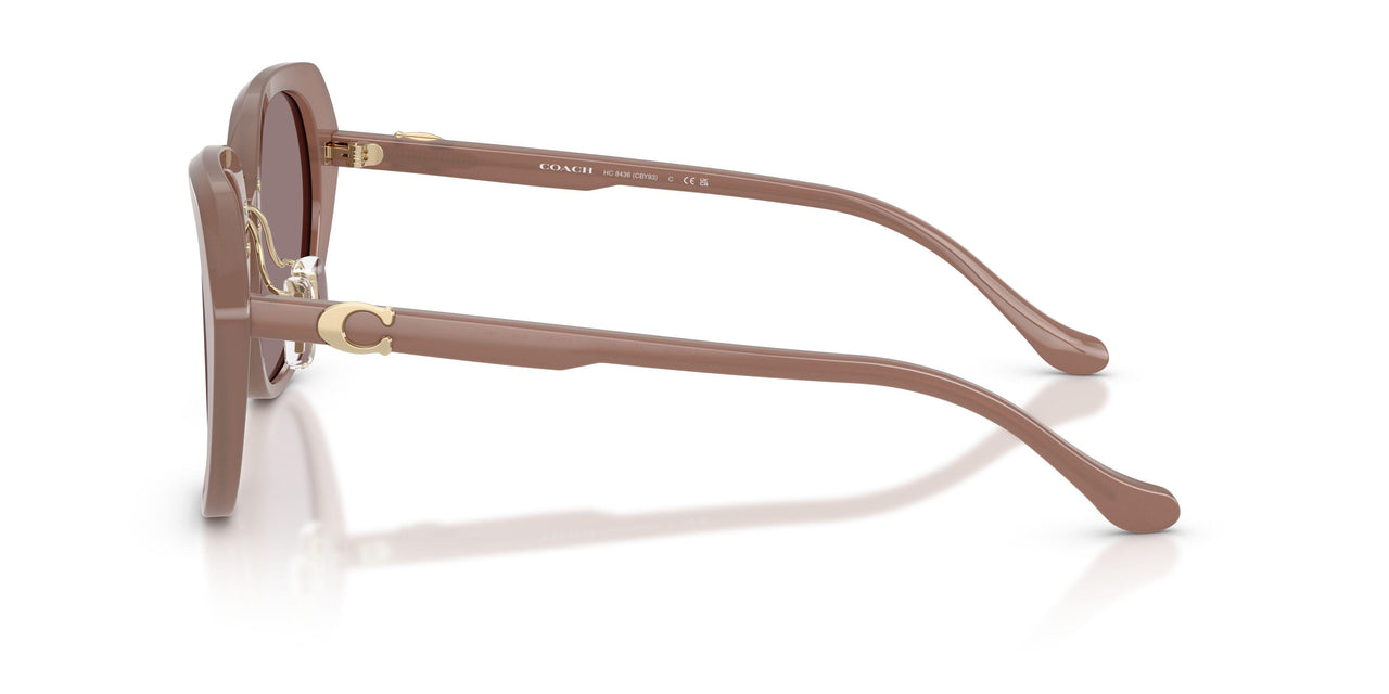 54957N - Brown - Purple Solid