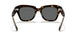 1292B1 - Havana On Trasparent Light Bro - Dark Grey