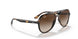 710/13 - Havana - Brown Gradient