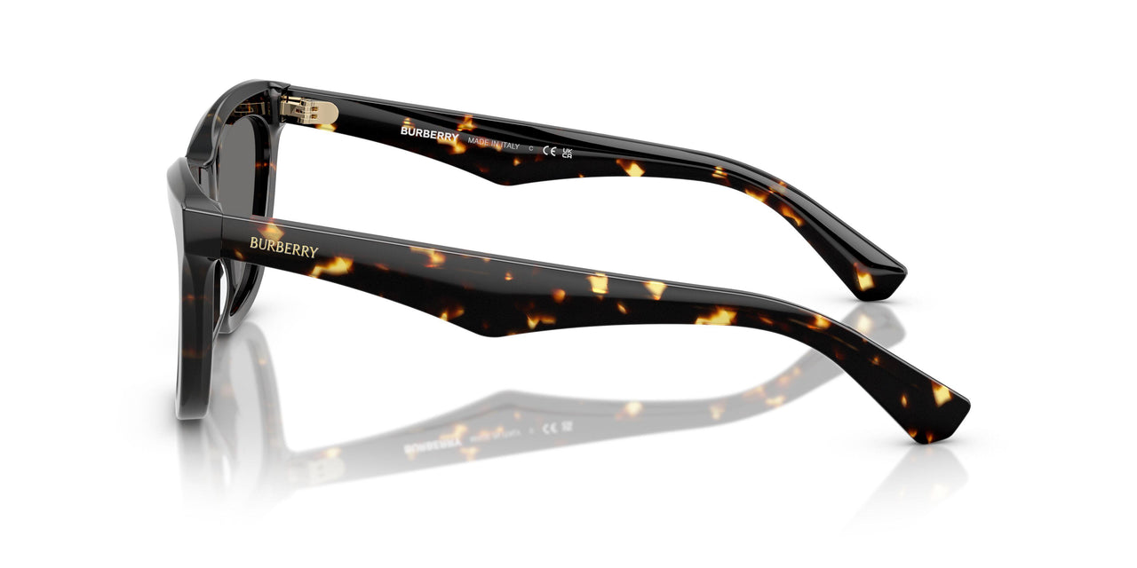 410681 - Tortoise - Dark Grey Polar