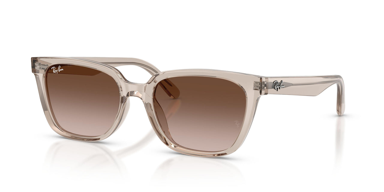 Ray-Ban 2243D Sunglasses
