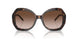 502613 - Tortoise - Gradient Brown