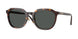 Versace 4493D Sunglasses