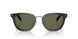 17N03R - Tortoise - Green Polar