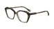 DGBR - Dark Green Brown
