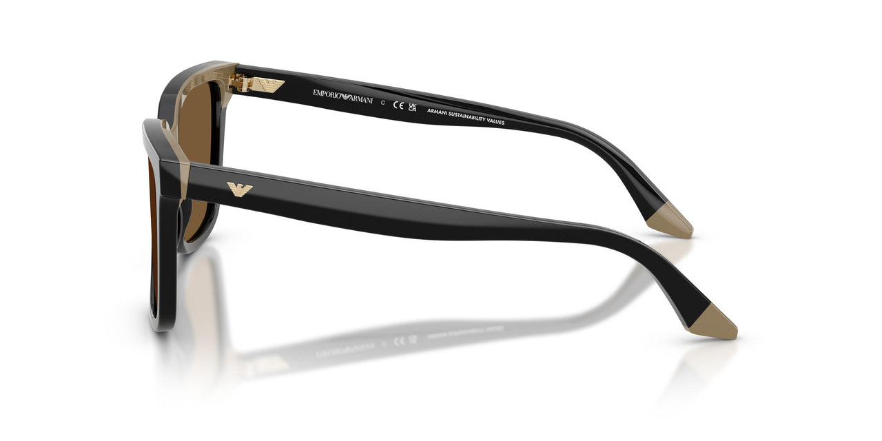 631373 - Black - Brown