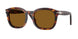 24/33 - Tortoise - Brown