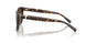 8015T5 - Tortoise - Polar Brown Gradient