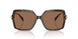 395173 - Tortoise - Brown Solid