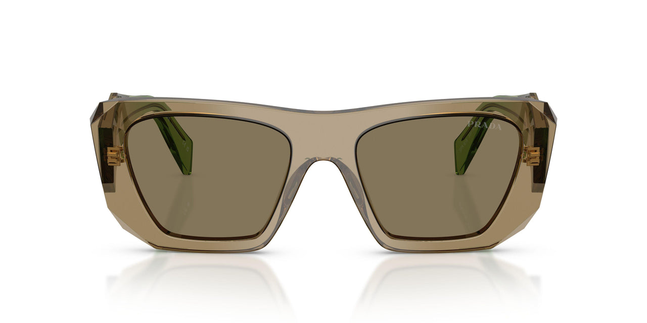 29E90F - Brown - Light Brown