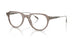 3009 - Grey