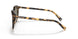 51713 - Havana - Dark Brown Solid