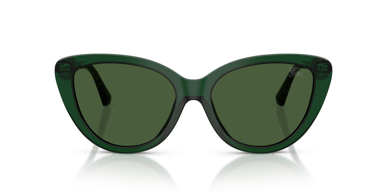 416271 - Green - Dark Green