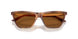 509673 - Brown - Dark Brown