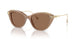 2002OK - Brown - Bronze