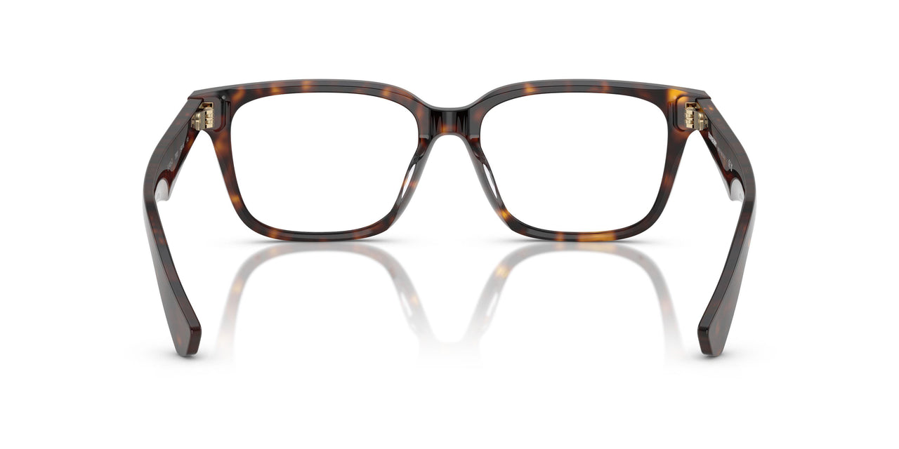 3002 - Brown