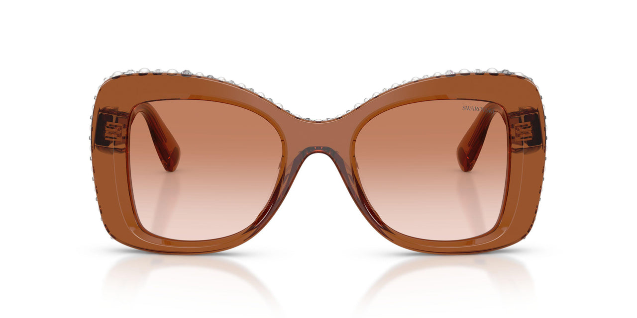 109573 - Brown - Gradient Brown