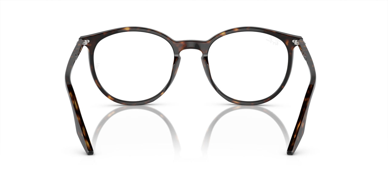 902/GJ - Tortoise - Clear/green