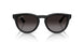 901/T3 - Black - Polarized Light Grey Gradient Grey