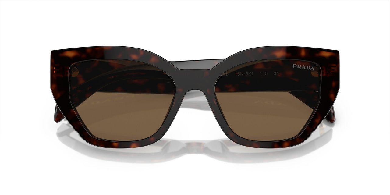 16N5Y1 - Briar Tortoise - Dark Brown