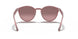 616613 - Turtledove - Brown Gradient