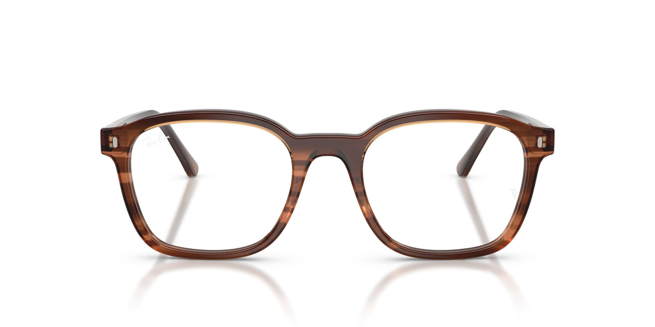 8455 - Tortoise