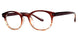 PLASTICS I THEORY Eyeglasses
