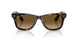 710/M2 - Tortoise - Polarized Brown Gradient