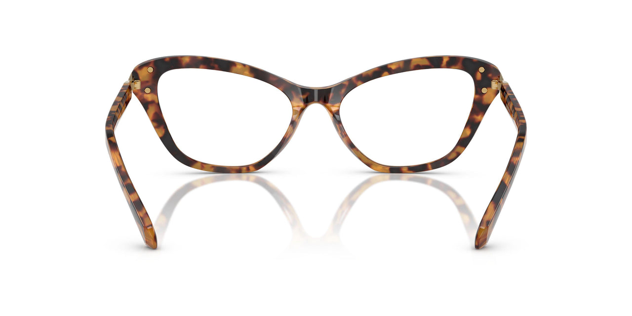1040 - Tortoise