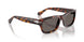 24/B1 - Tortoise - Dark Grey