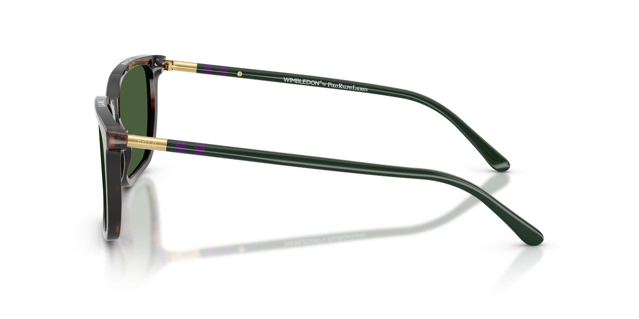 567371 - Tortoise - Bottle Green