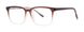 MODERN TIMES EVOLVE Eyeglasses