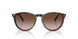 W65613 - Brown - Gradient Brown