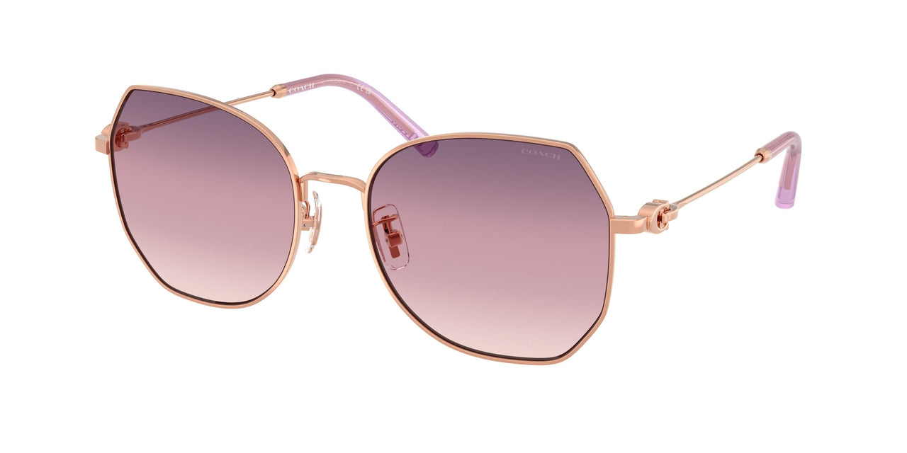 Coach Cad79 7175 Sunglasses