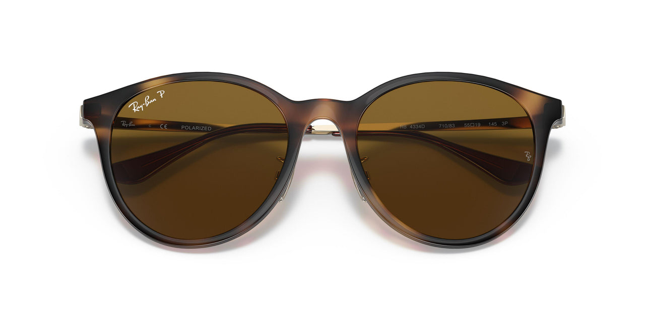 710/83 - Tortoise - Brown