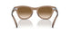 664051 - Light Brown - Clear Gradient Brown