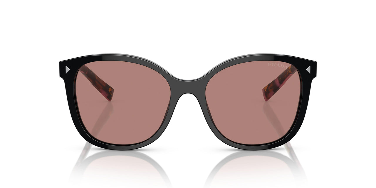 12O10D - Brown - Light Brown