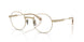 10242C - Gold - Gradient Brown