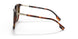 3316T5 - Havana - Gradient Brown Polar