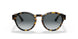 587486 - Havana - Light Blue Gradient Grey