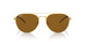 925083 - Gold - Dark Brown Polar