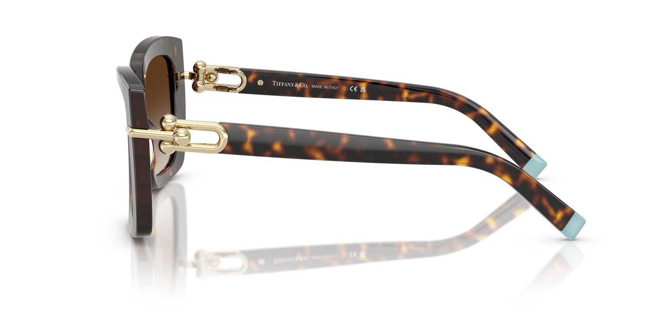 80153B - Tortoise - Brown Gradient