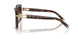 80153B - Tortoise - Brown Gradient