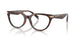 4031 - Tortoise