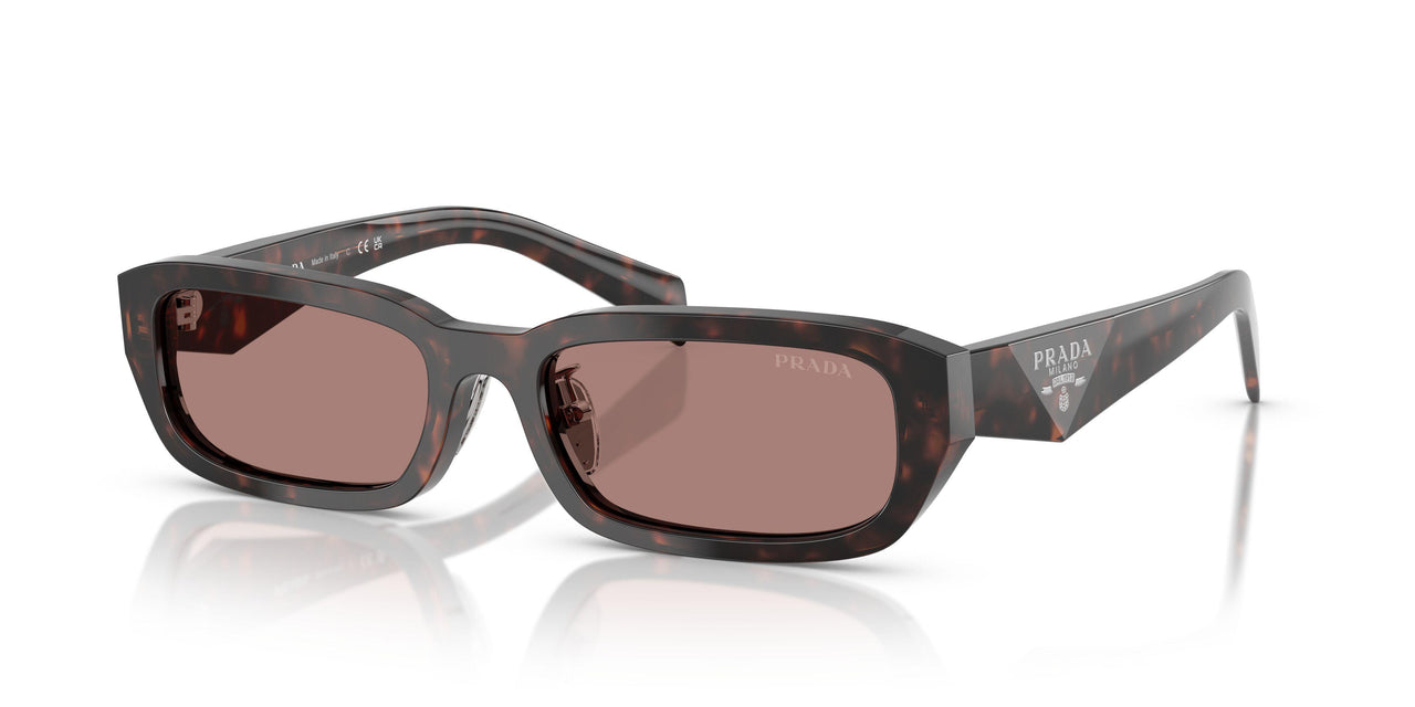 17N60B - Tortoise - Light Brown