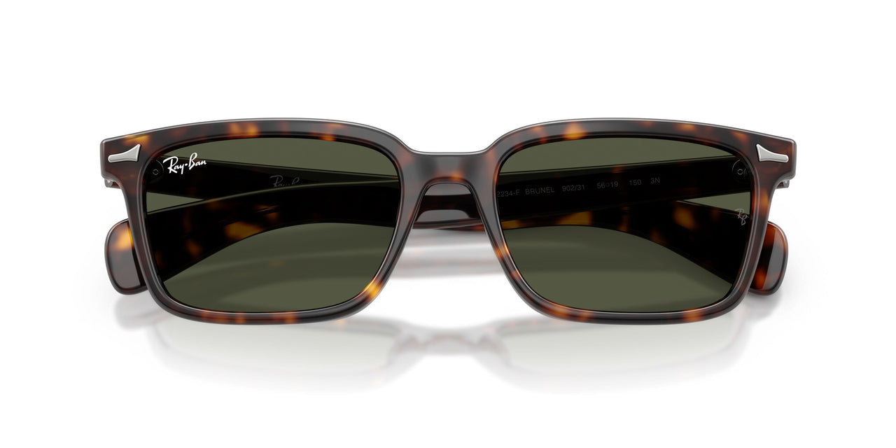 902/31 - Tortoise - Green