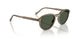 32939A - Brown - Dark Green Polar