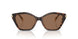 395173 - Tortoise - Brown Solid