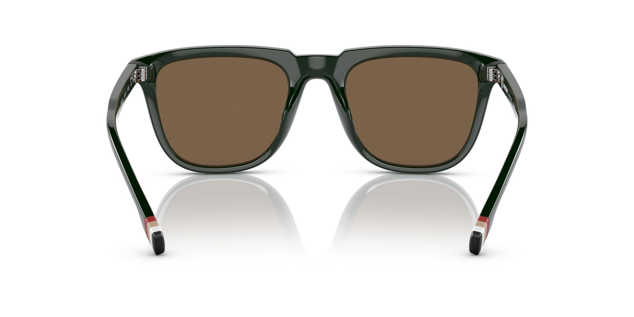 403573 - Green - Dark Brown