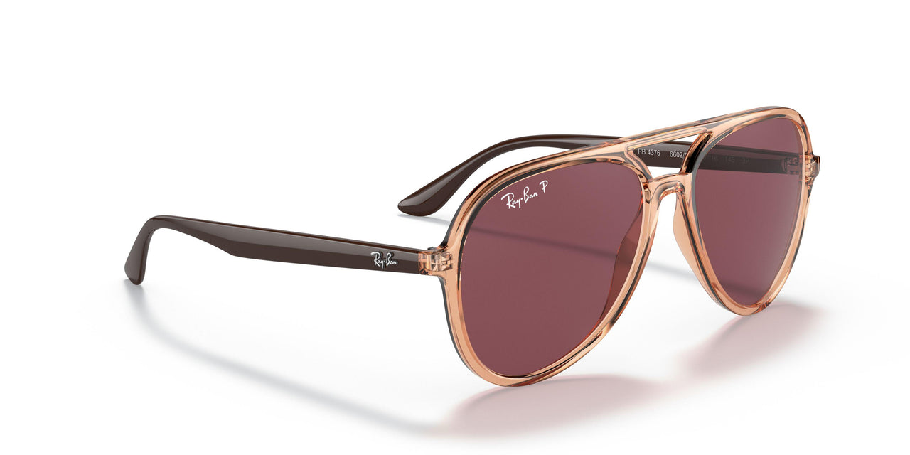 66025Q - Brown - Purple Polar